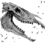 Chupacabra