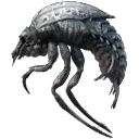 Choke Beetle