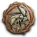 Beetle Expert