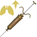 Ksusha
