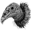 Vulture
